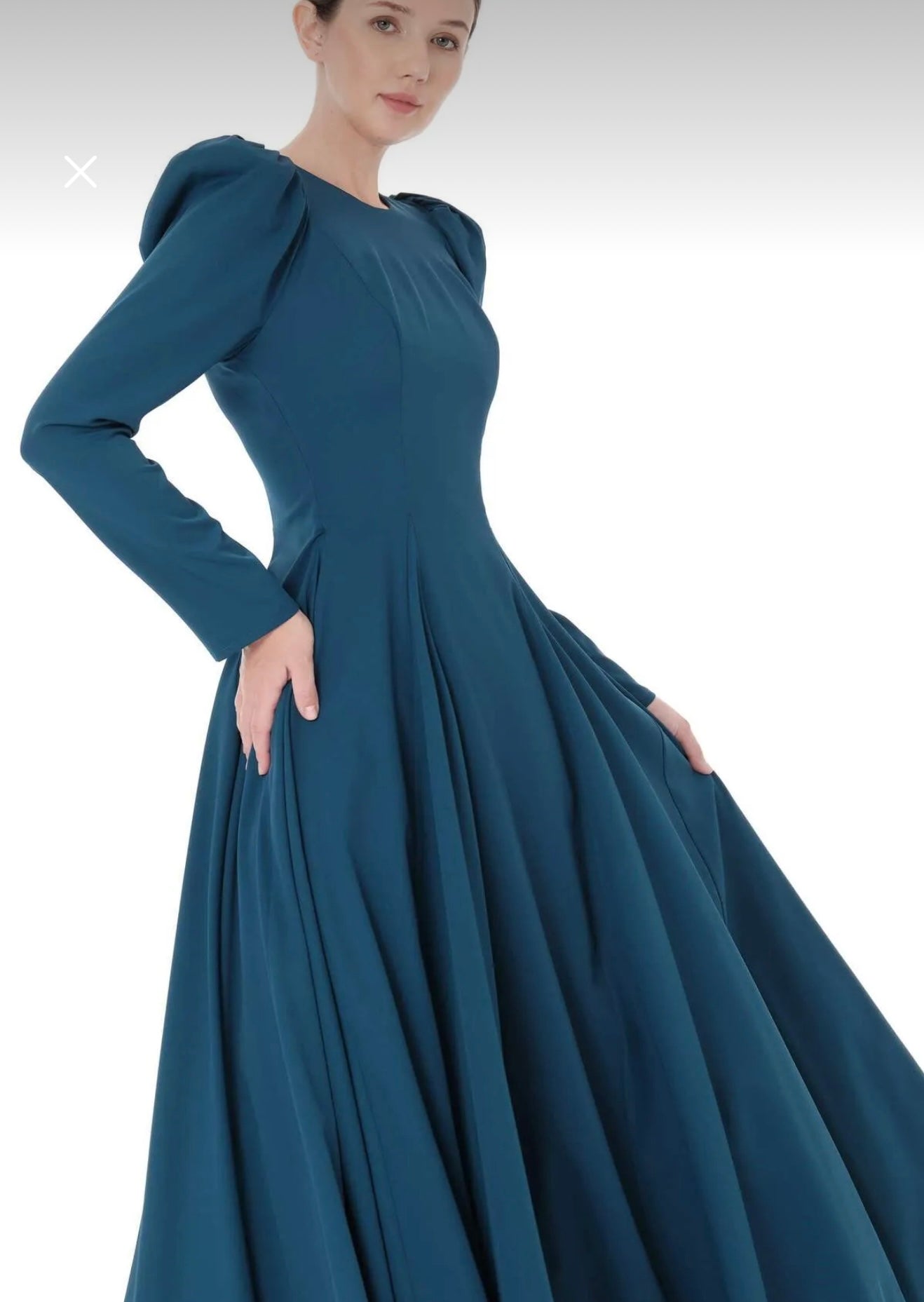 Elegant Modest Dress